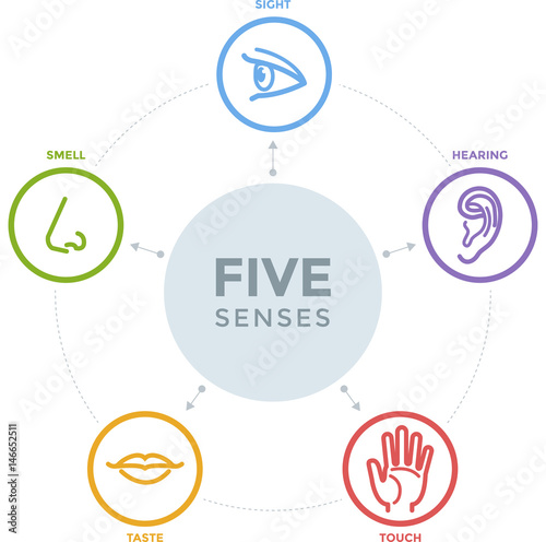 Five senses with complex line icons in a mind map design