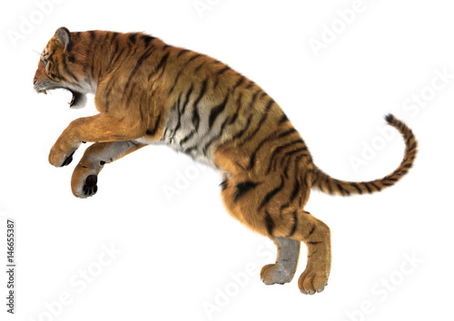 Fototapeta Naklejka Na Ścianę i Meble -  3D Rendering Big Cat Tiger on White