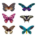 Big collection of colorful butterflies. Butterflies isolated on white.  illustration
