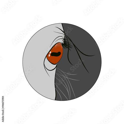 Eyes light gray horse