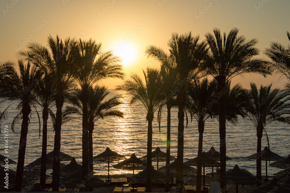 Obraz premium Sunrise