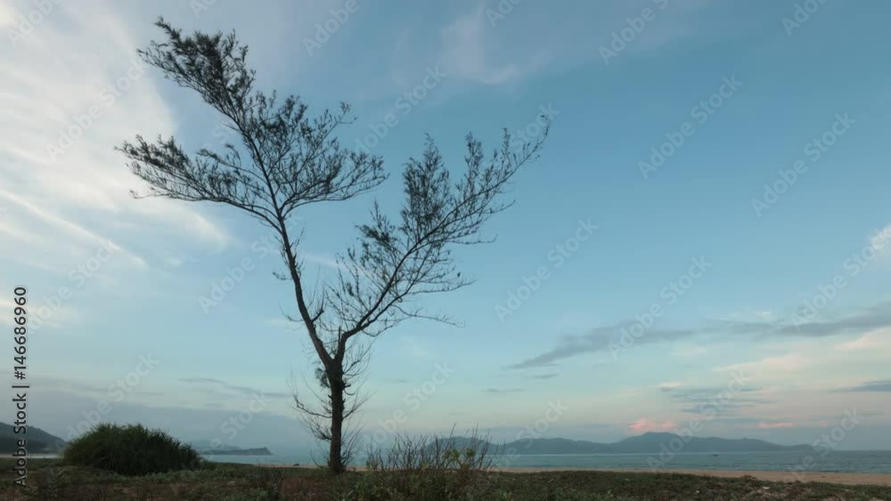 A sunset evening skyline time lapse looking out over the south China sea in Vung Lam Bay Vietnam. With a tree in silhouette. A sunset evening skyline time lapse looking out over the south China sea in Vung Lam Bay Vietnam. With a tree in silhouette.