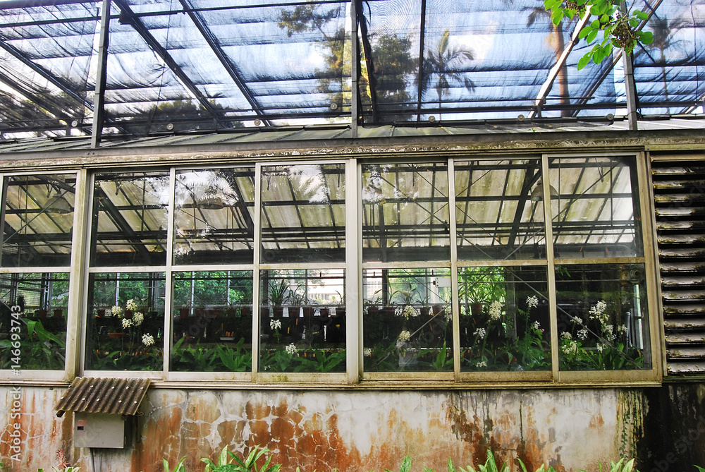 Old green house in the garden Old green house in the garden