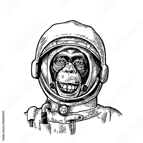 Monkey in astronaut helmet. Vintage black engraving