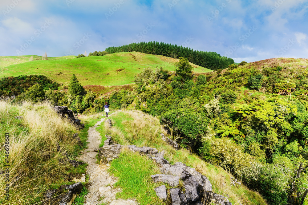 Young female tourist walking on the hiill in Waitomo , North Island of New Zealand