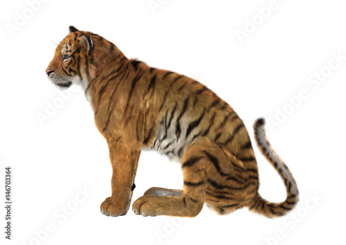 Fototapeta Naklejka Na Ścianę i Meble -  3D Rendering Big Cat Tiger on White