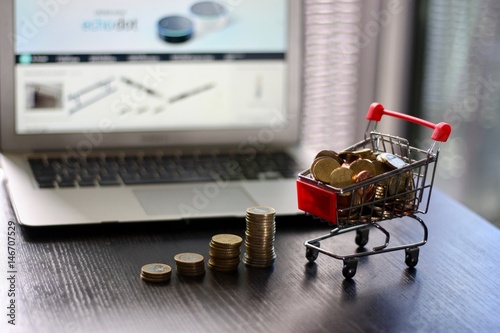 Growing E-Commerce Business