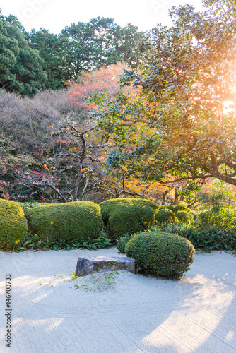 Japanese garden decor with rock and bush, draw lthe line with gravel in autumn season against sunset light