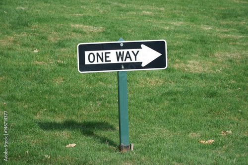 one way sign against green lawn