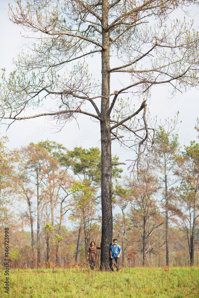 An Asian young adult couple traveling in pine forest, Thailand An Asian young adult couple traveling in pine forest, Thailand
