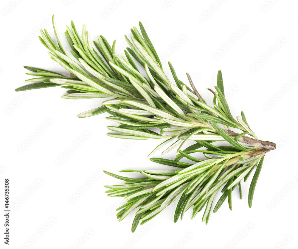 Fototapeta premium Rosemary isolated on white background