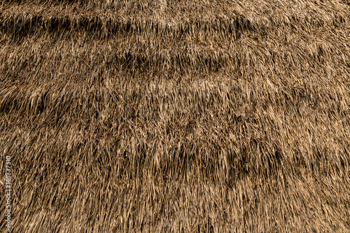 Thatched roof texture