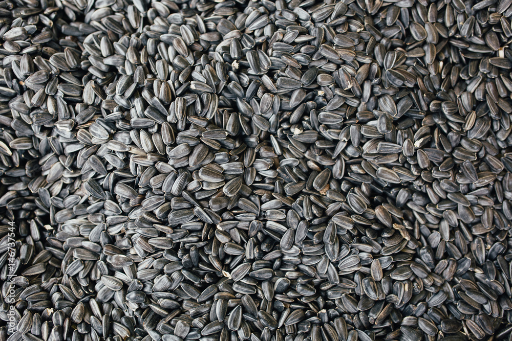 the abstract background texture of sunflower seeds