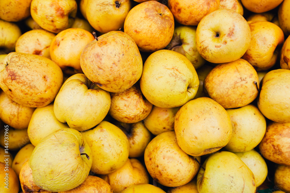 Yellow apples on the shelf in the supermarket Yellow apples on the shelf in the supermarket
