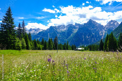 View of beautiful landscape with fresh green meadows  blooming flowers and snow-capped mountains background in summer
