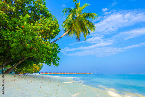 Fototapeta Naklejka Na Ścianę i Meble -  Beautiful tropical Maldives island luxury resort with palm tree, sandy beach, turquoise sea and blue sky background