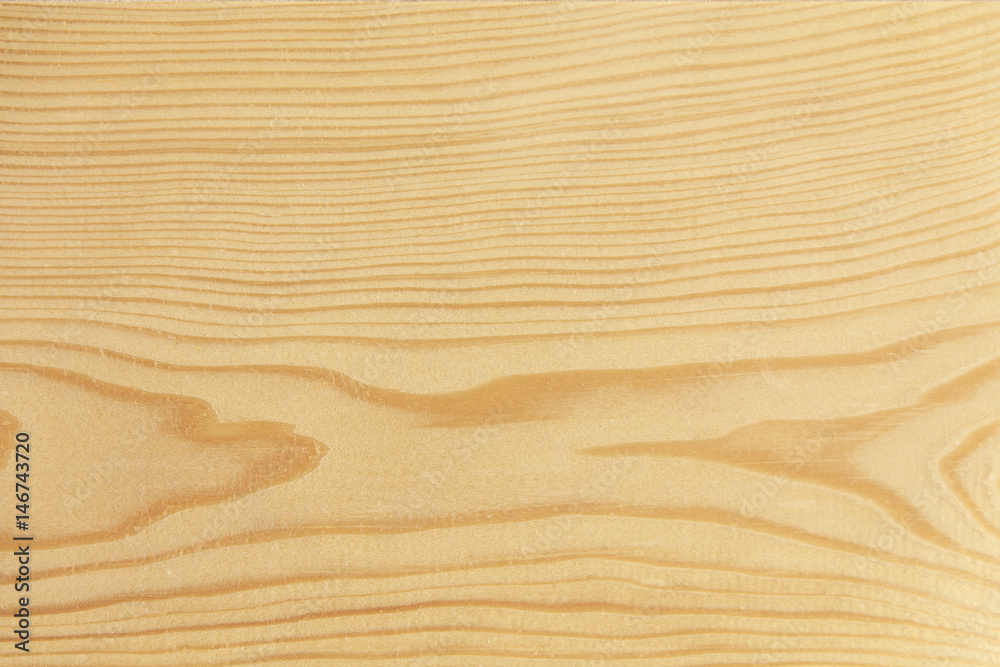 Texture of wood background closeup Texture of wood background closeup
