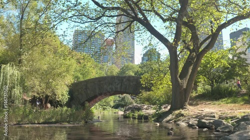 CLOSE UP: Iconic stone Gapstow Bridge above the Pond in sunny NYC Central Park on stunning summer day. Luxury glassy skyscrapers, office buildings, corporate towers creating New York City skyline