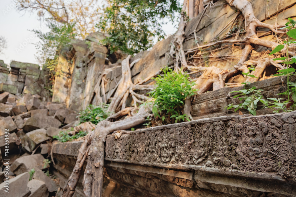 Close-up of the frescoes with floral patterns on the wall of Beng Melea Temple, covered in old roots of tropical trees, Cambodia. Ancient Khmer architecture, World Heritage. Side view, selective focus Close-up of the frescoes with floral patterns on the wall of Beng Melea Temple, covered in old roots of tropical trees, Cambodia. Ancient Khmer architecture, World Heritage. Side view, selective focus