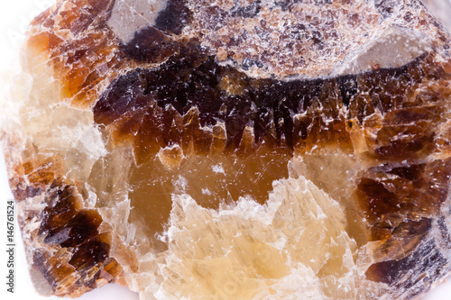 macro mineral stone hedenbergite on a white background photo