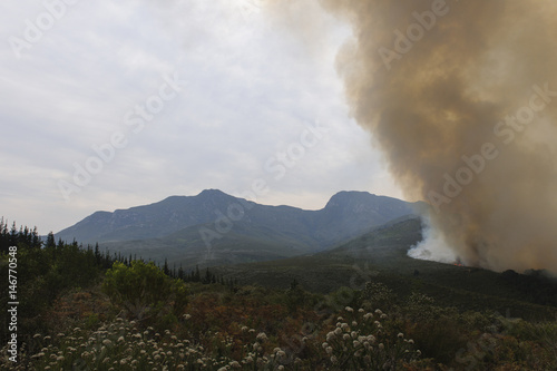 wildfire on mountain photo