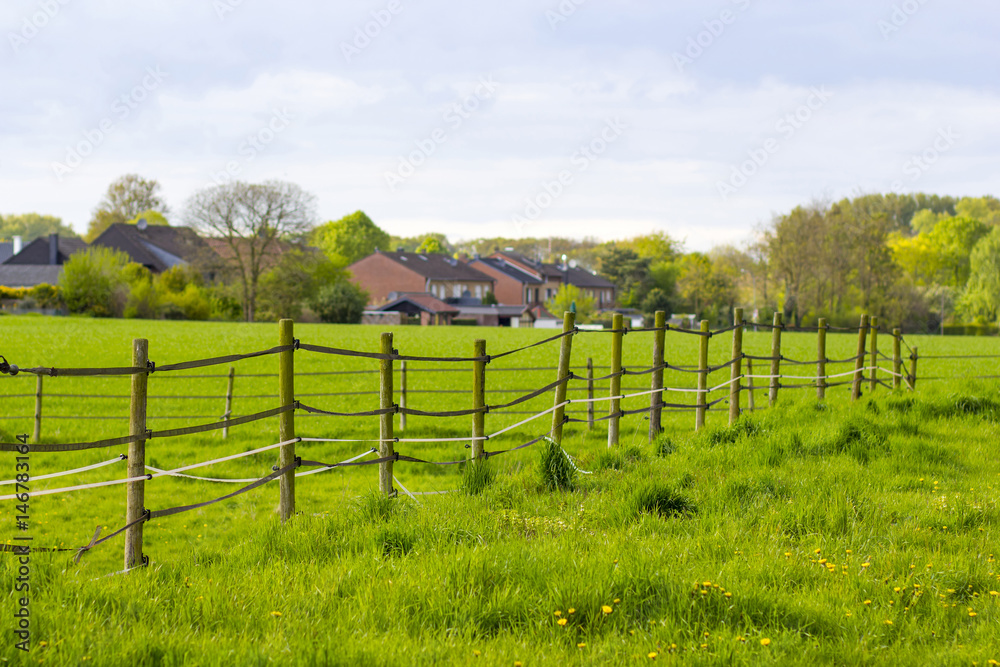 Fence in a meadow in a rural area of Lower Rhine