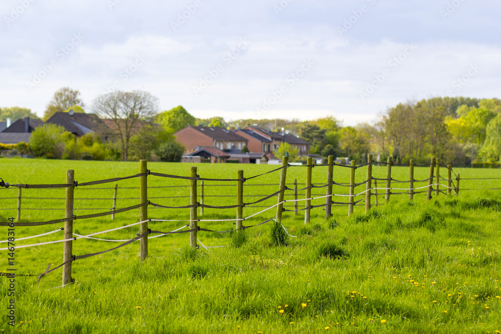Fence in a meadow in a rural area of Lower Rhine Fence in a meadow in a rural area of Lower Rhine