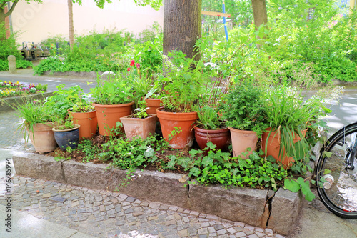 Buntes Blumenbeet / Urban Gardening