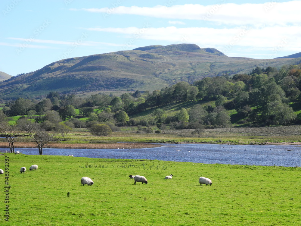 Glencar Scene