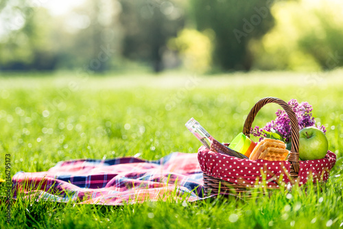 picnic basket and blanket outdoors
