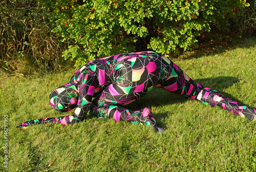 yoga and stretching on the grass photo