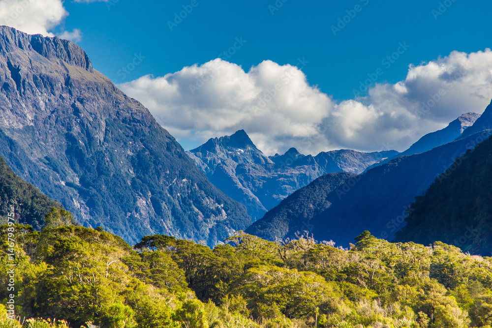Fototapeta premium forest mountain sky sea at milford sound, new zealand