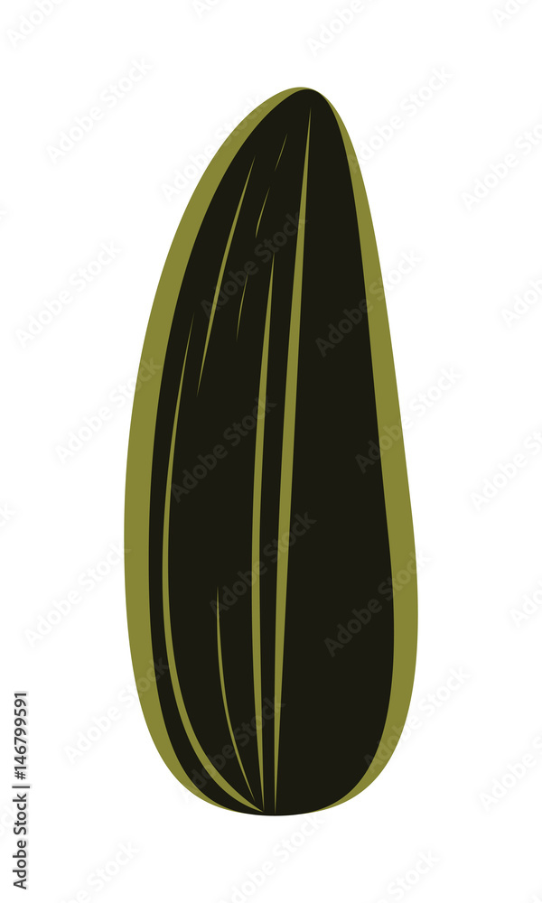 sunflower seed sunflower seed