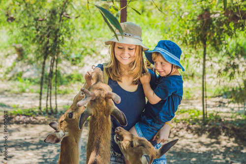 Mother and son feeding beautiful deer from hands in a tropical Zoo photo