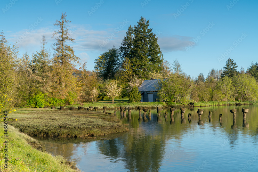 Obraz premium Mud Bay Morning