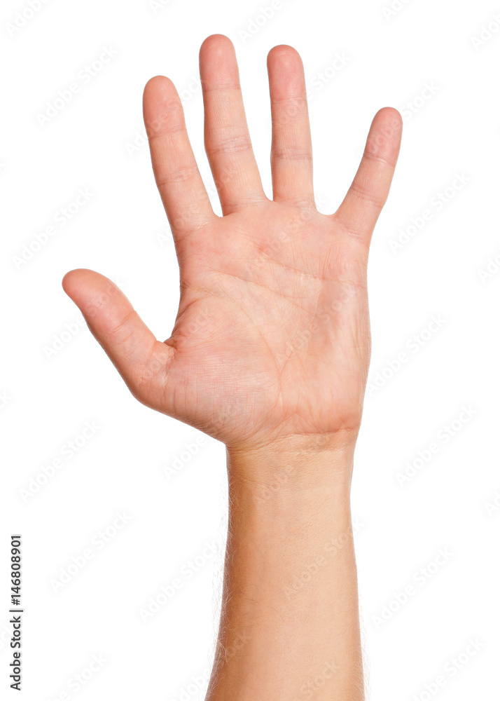 Adult man hand sign - empty open palm gesture, isolated on white background. Adult man hand sign - empty open palm gesture, isolated on white background.