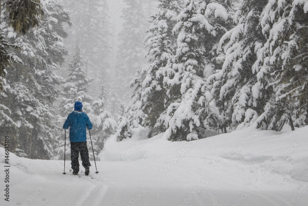 Man cross-country skiing in a snowstorm