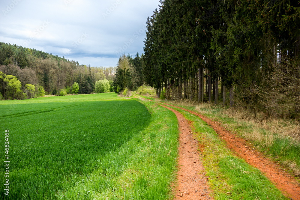 Spring landscape in South Bohemian region - Czech Republic