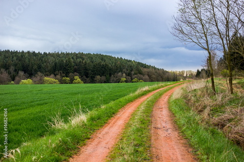 Spring landscape in South Bohemian region - Czech Republic