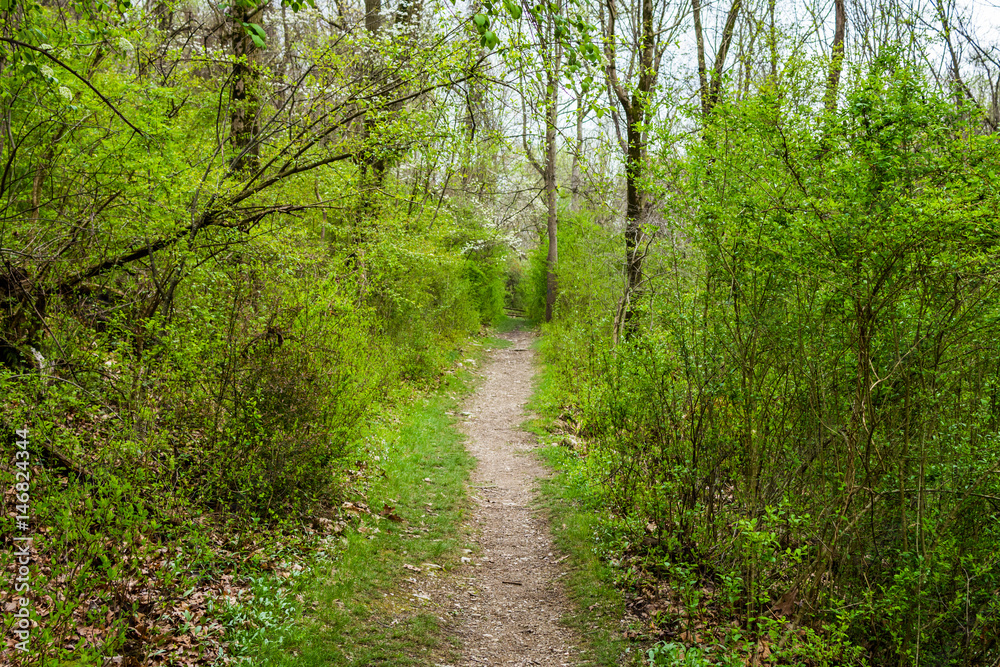Landscape of Nixon Park in Loganville, Pennsylvania Landscape of Nixon Park in Loganville, Pennsylvania