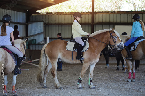 jeune fille adolescente avec son cheval dans manège © mariesacha
