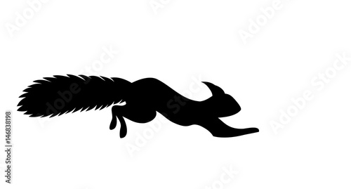 silhouette of a running squirrel