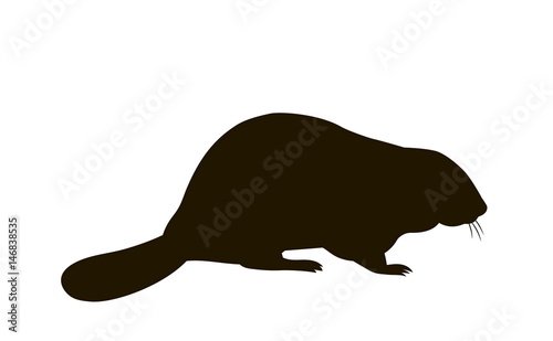 silhouette of a sitting beaver