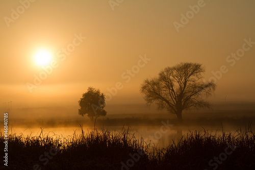 sunrise and trees © Igno
