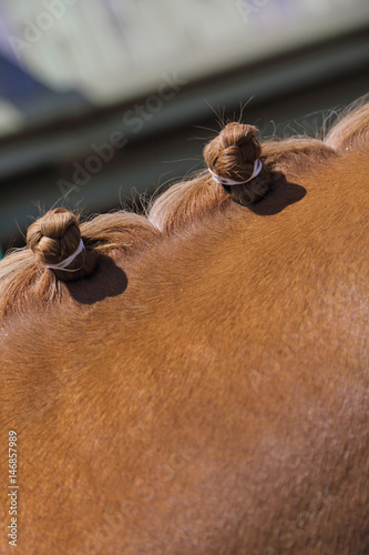 crinière cheval brun, tresse pion rond fini