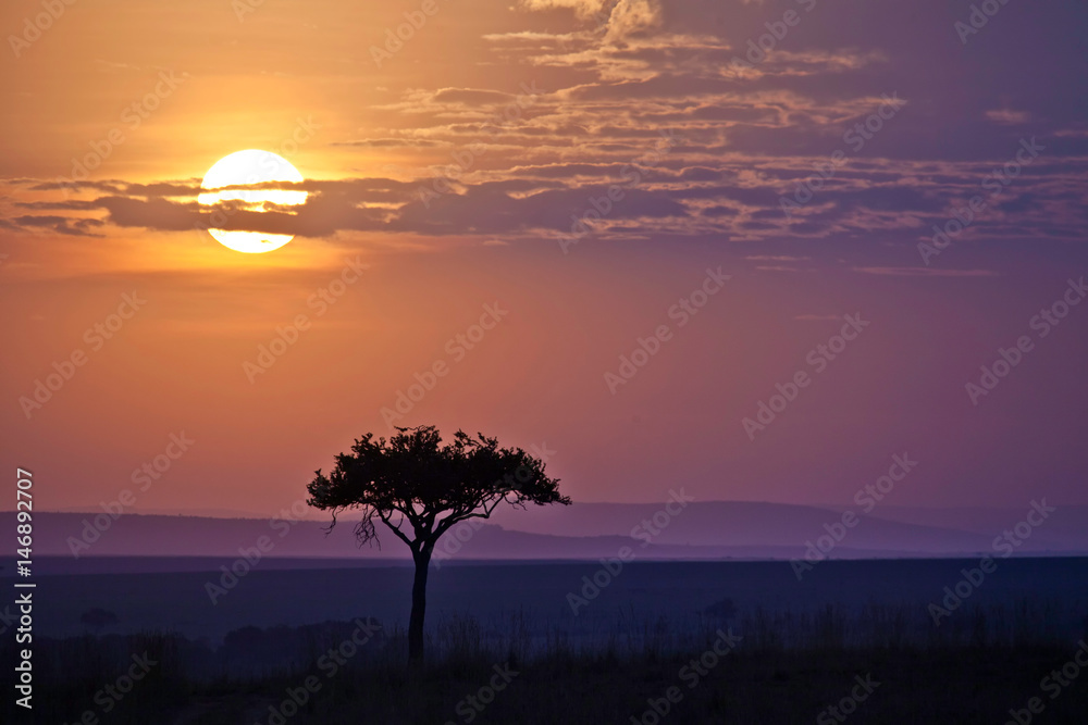 Sunset, Masai Mara, Kenya