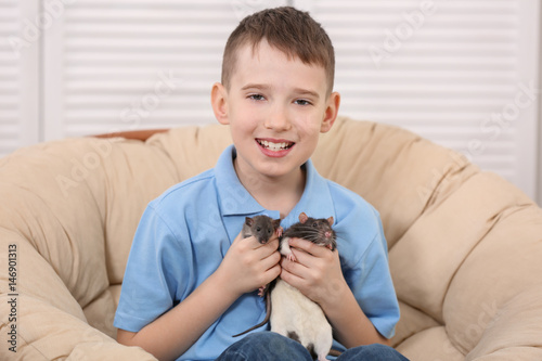Cute boy with funny rats at...