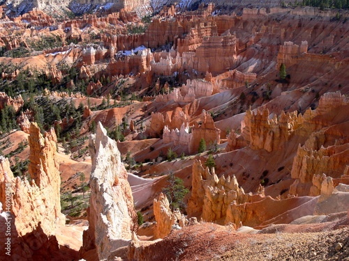 Bryce hoodoos