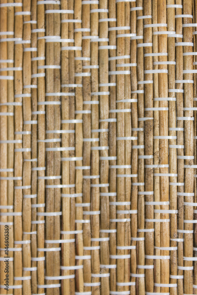 background of dry stems background of dry stems