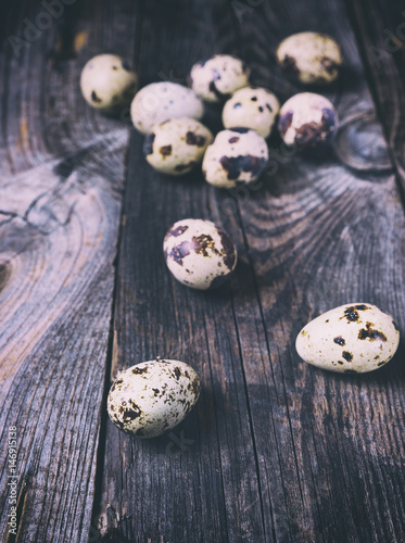 Fresh quail eggs on a gray wooden surface